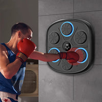 Thumbnail for Music Boxing Target Training Wall Target Fitness Equipment